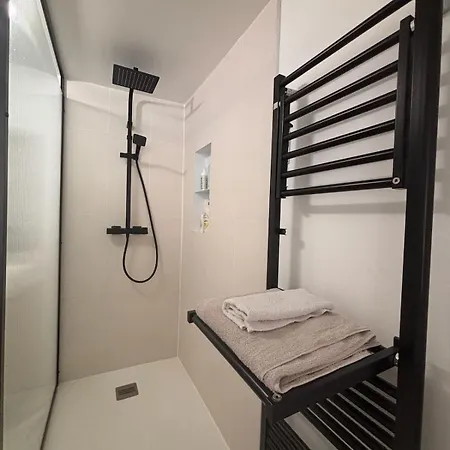 Duplex Quai Brazza Avec Terrace Et Parking Apartment *