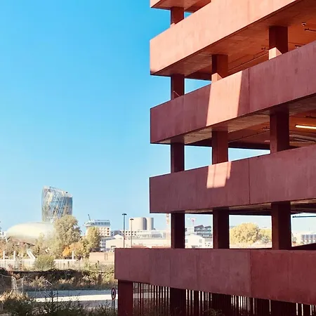 Apartment Duplex Quai Brazza Avec Terrace Et Parking
