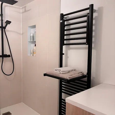 Duplex Quai Brazza Avec Terrace Et Parking