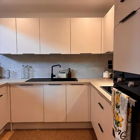 Duplex Quai Brazza Avec Terrace Et Parking Apartment